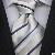 Classic Silk Necktie Wst-327