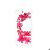 Iphone Case Model F4. Flower Series, Anti-dropping Function