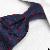 Well-favored Necktie, Ndt-061