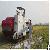 Large Rice Combine Harvester For Sale