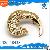 Dolphin Shape Metal Leather Accessories With Shinny Rhinestone
