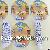 Double Sided Printing Labels For Sapphire Blueberry Fruit Bottles