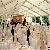 Best Terms Event Tents, Tent Aluminium Profile Big Banquet Event Tent For Fair