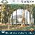 Cheap Wedding Party Dome Tents Geodesic House Bell Tent, Circle Outdoor Dome Tenda For Camping