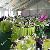 Promotional Pvc Wedding Party Center Pole Tent For Trade Show, Marriage Tents