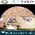 Steel Structure Winter Yurt Dome Theater Inflatable Dome Tent For Music Beer Festival