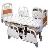 Multifunctional Electric Medical Bed