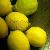 Ceti Lemon Offer