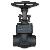 Forged Steel Globe Valve