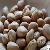 Dried Jackfruit Seed