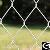 Galvanized Chain Link Fence