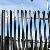 Steel Palisade Fencing