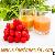 Acerola Fruit Juice / Puree