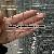 Electro Galvanized Square Wire Mesh Electro Woven Wire Mesh Silver