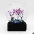 Four Season Set Glass Snow Globe Wholesale Summer