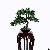 Artificial Potted Pine Trees