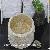 Classic Beige Marble Bathroom Round Vessel Sinks Natural Stone Wash Basin