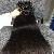 Vietnamese Hair Flat Tip Straight #1b, 24 Inches