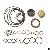 Diesel Spare Parts Common Rail Fuel System Cp2 Cp 2.0 Pump Repair Kits L4700-1111100-a38