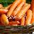 Fresh Carrot