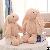 Long-eared Rabbit Plush Animal