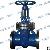 Stainless Steel Gate Valve