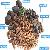 Fish Feed Machine Floating Fish Feed Pellet Machine On Sale