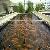 Fish Feed Extruder Some Suggestions On Catfish Feeding