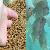 Processing Technology Of Extruded Fish Feed Pellets