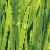 Artificial Grass For Football, Mt-stem-plus / Mt-stem Xl-plus