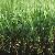 Commercial Artificial Grass, Mt-promising / Mt-marvel