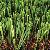 Commercial Artificial Grass, Mt-superior / Mt-wisdom