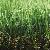 Residential Artificial Grass, Mt-promising / Mt-marvel