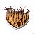 Cordyceps Extract