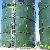 Glass Fused To Steel Sludge Holding Tank For Sewage Treatment Plant
