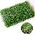 Landscape Artificial Grass