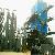 Biomass Power Plant Converting Forest Waste To Energy