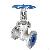 Cast Steel Gate Valve