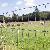 Grassland Fence