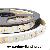 Flexible Smd2835 Led Strip Light 120leds / Meter 12v Or 24v Dc, 10mm Wide, By 5m Reel