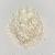 Coconut Water Extract Powder