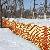 Plastic Snow Fence