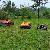 Remote Mower Price, China Rcmower Price, Industrial Remote Control Lawn Mower For Sale