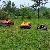 Remote Mower Price, China Rcmower Price, Industrial Remote Control Lawn Mower For Sale