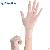 China 9 Inch 4.5g Powder Free Vinyl Gloves