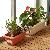 Rectangle Vegetable Plant Pots