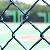 Pvc Coated Chain Link Fence