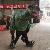 Realistic Dinosaur Costume