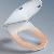 Dual Nozzle Heated Bidet Toilet Seat