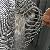 Ss304 Window Insect Screen Bwg 36 20 Mesh